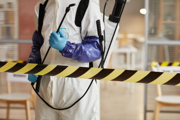 Professional Sewage Cleanup technician working in Newmarket, NH